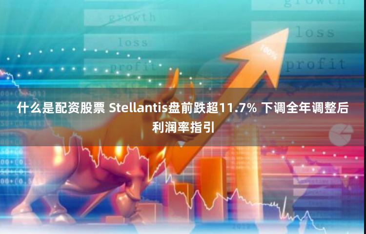 什么是配资股票 Stellantis盘前跌超11.7% 下调全年调整后利润率指引