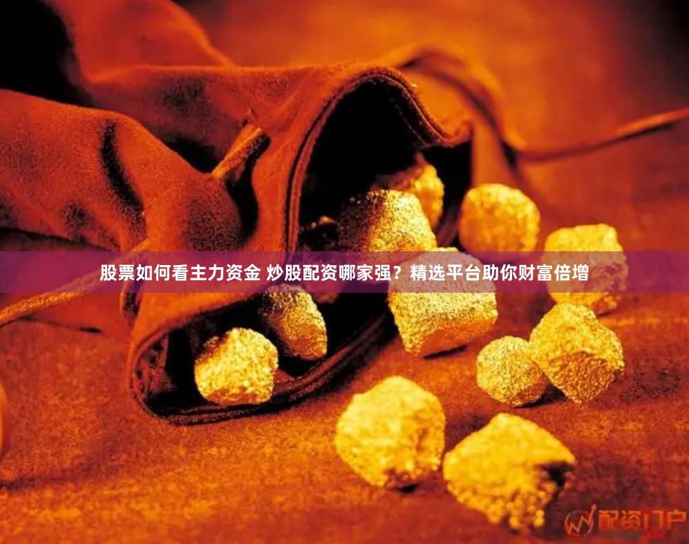 股票如何看主力资金 炒股配资哪家强？精选平台助你财富倍增