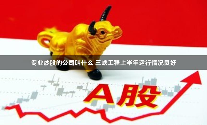 专业炒股的公司叫什么 三峡工程上半年运行情况良好