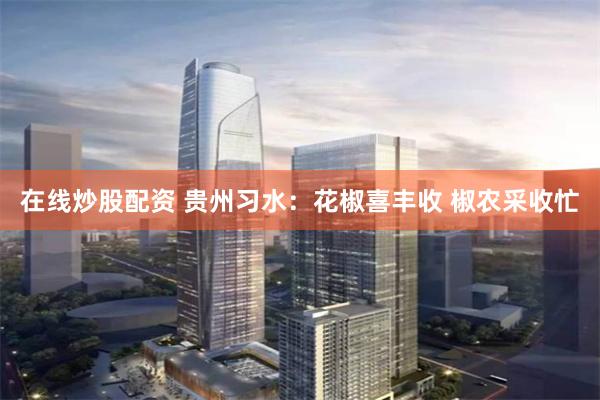 在线炒股配资 贵州习水：花椒喜丰收 椒农采收忙