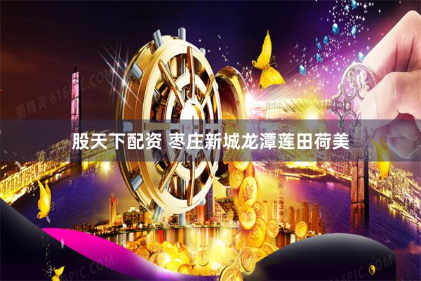 股天下配资 枣庄新城龙潭莲田荷美