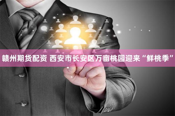 赣州期货配资 西安市长安区万亩桃园迎来“鲜桃季”