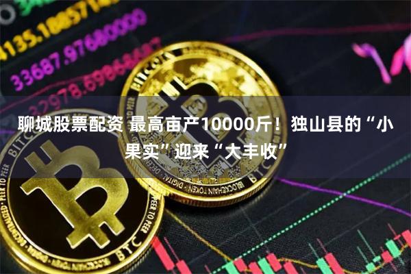 聊城股票配资 最高亩产10000斤!独山县的“小果实”迎来“大丰收”