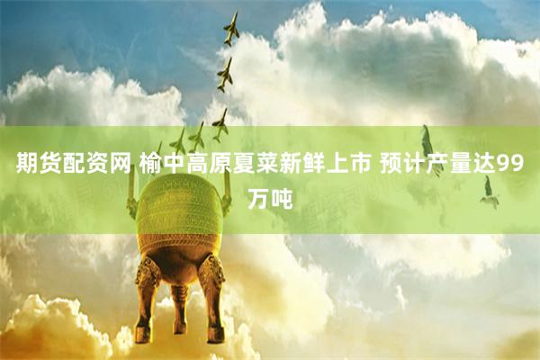 期货配资网 榆中高原夏菜新鲜上市 预计产量达99万吨
