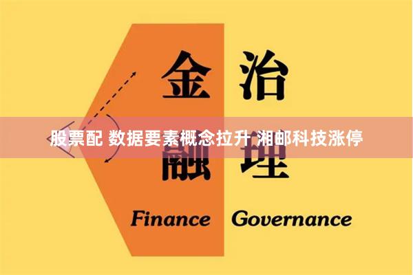 股票配 数据要素概念拉升 湘邮科技涨停