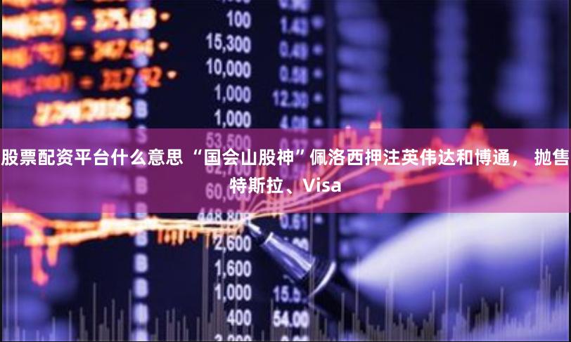 股票配资平台什么意思 “国会山股神”佩洛西押注英伟达和博通， 抛售特斯拉、Visa