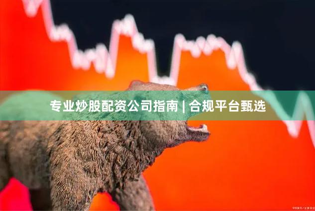 专业炒股配资公司指南 | 合规平台甄选