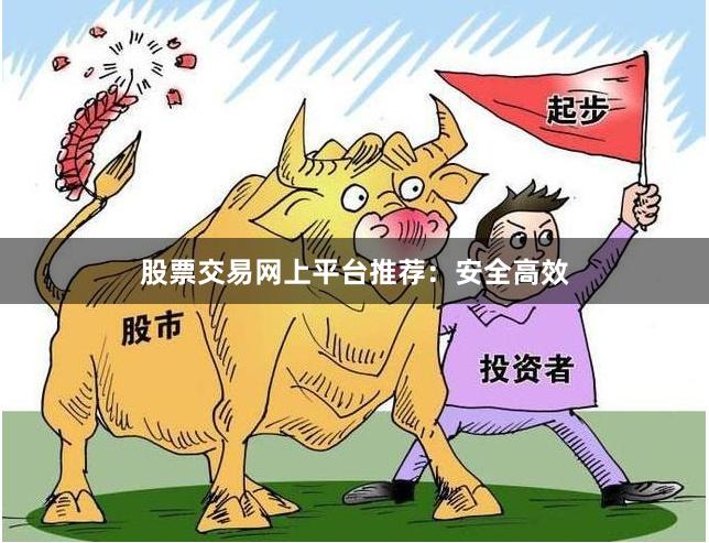 股票交易网上平台推荐：安全高效