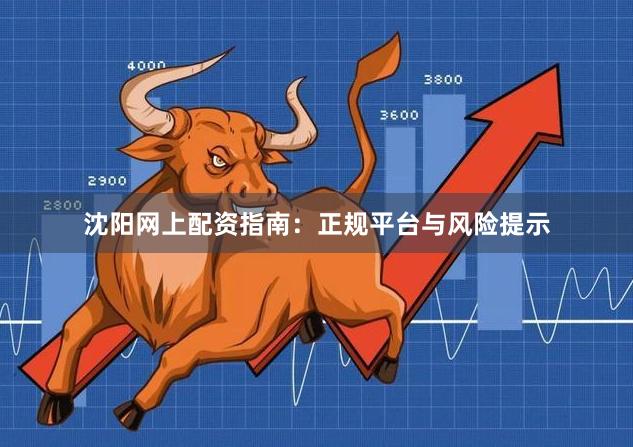 沈阳网上配资指南：正规平台与风险提示